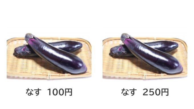 同じように見えるナスでも情報の有無で価値の伝わり方が変わることを示した講演スライド